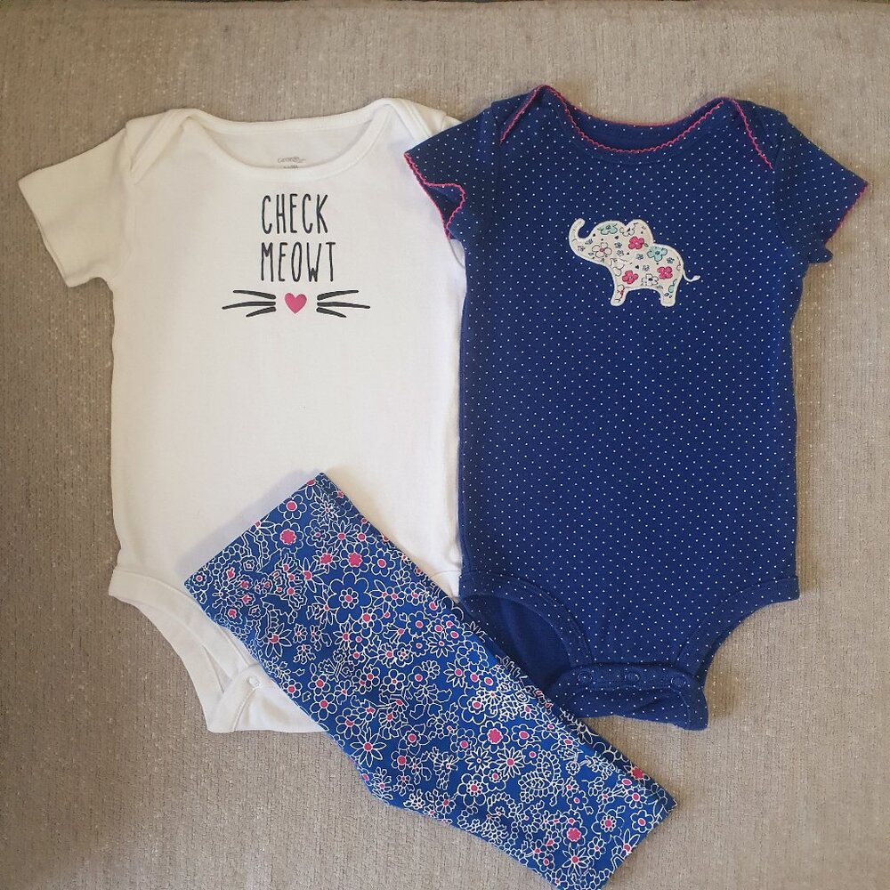 Baby Girl Bundle Size 6-12 Months Bodysuits Pants